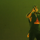 Image for article titled Man Seen on Video Being Asked to 'Leave' A$AP Rocky Alone Is Set Free As Rapper Continues Stay in a Swedish Jail